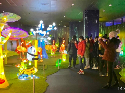 Около 500 сочинских школьников посетили на каникулах  парк иллюминаций