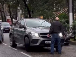 В центре Сочи странный пешеход преграждал путь автомобилистам