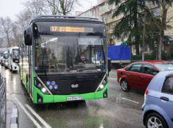 На сочинских дорогах появятся электробусы российского производства