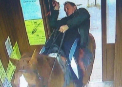 Мужчина посетил супермаркет в Сочи сидя на коне 