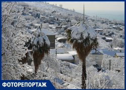 «Зима пришла»: фотографии Сочи под снежной шапкой в репортаже «Блокнота»