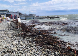 На уборку пляжных территорий в Сочи вышли 70 человек