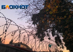 Сутенера, находившегося в розыске 12 лет, задержали в Сочи