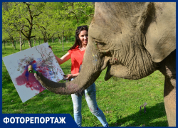 Слоны Андрея Дементьева-Корнилова прибыли на двухнедельный отдых в Сочи