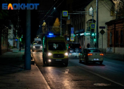 Три бойцовские собаки напали на женщину в Сочи и отгрызли ей ухо