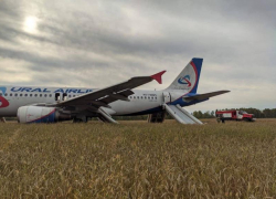 Пассажирский самолет Сочи — Омск совершил экстренную посадку в поле под Новосибирском