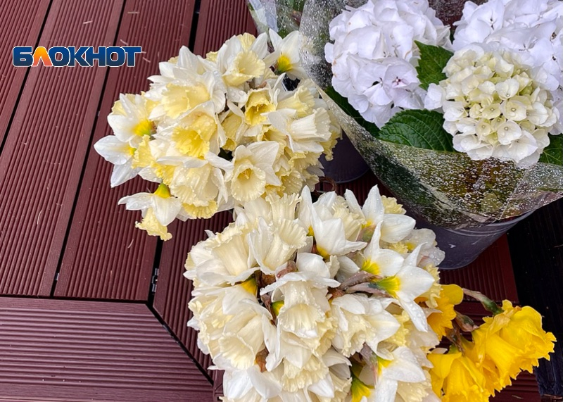 Более 46 тонн цветов к 8 марта вывезли самолетами через аэропорт Сочи