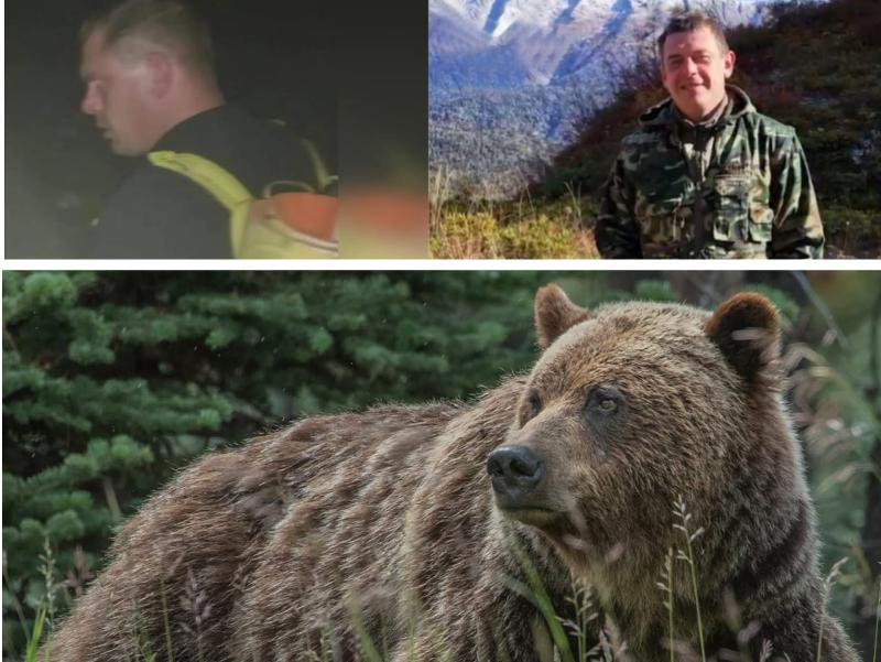 Встреча с медведем на Красной Поляне обернулась «пропажей без вести» одного из туристов