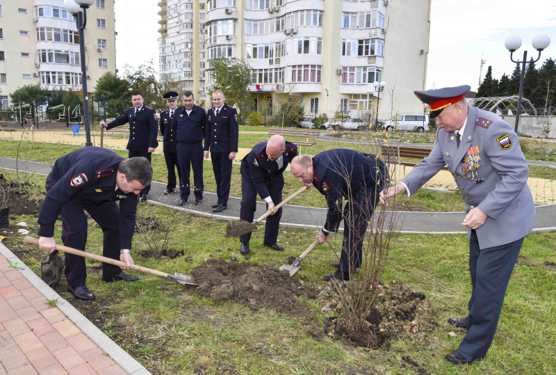 Сочинские полицейские высадили магнолии и молодые пальмы