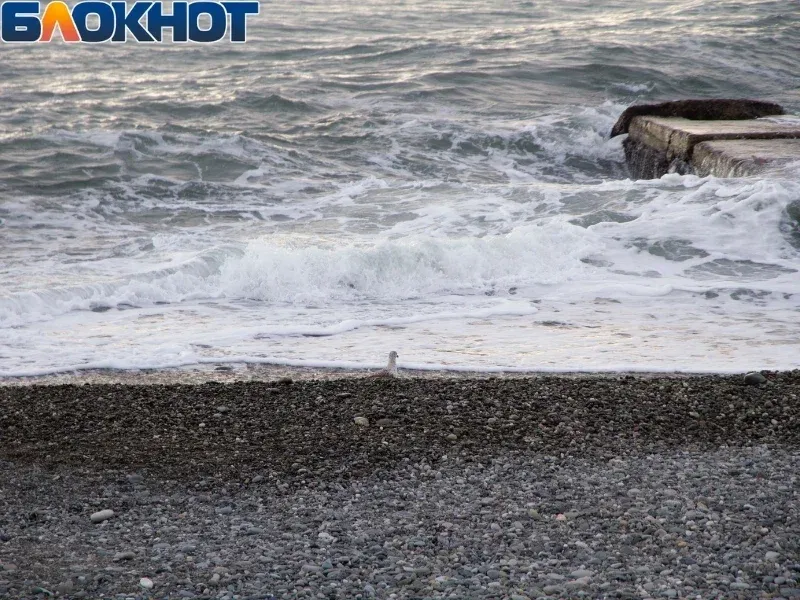 Спасатели второй день ищут пропавшего в Черном море туриста