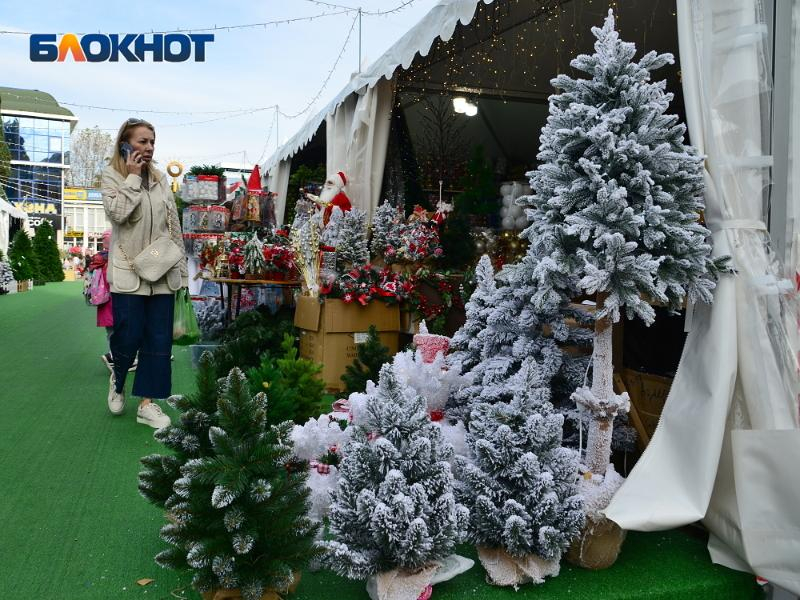 Елочные базары в Сочи откроются во второй половине декабря